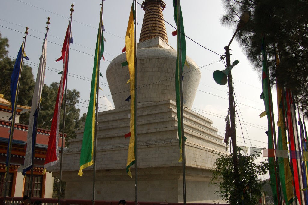 buddha park (9)