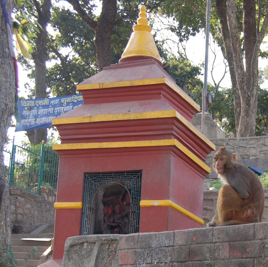 monkey temple (94)