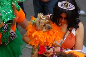 barkus (18)